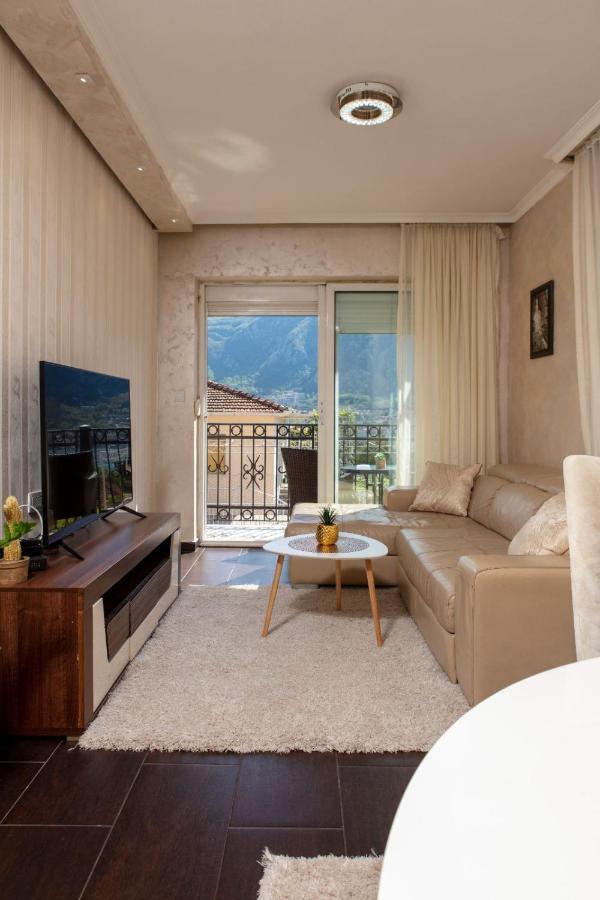 Ena Apartment 科托尔 外观 照片